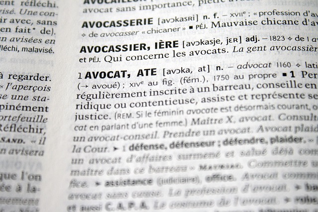Les principes de la responsabilité civile et pénale en droit