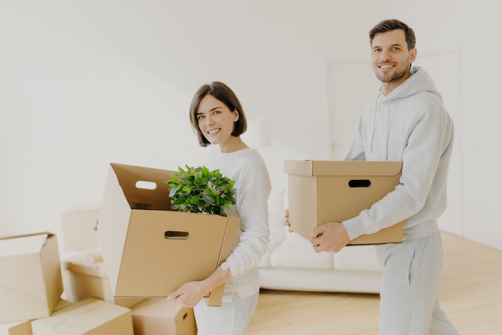 Le cadre légal de la capacité d'emprunt pour les entreprises en transition écologique